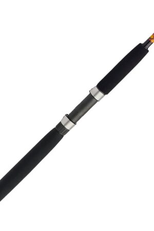 Casting Fishing Rod