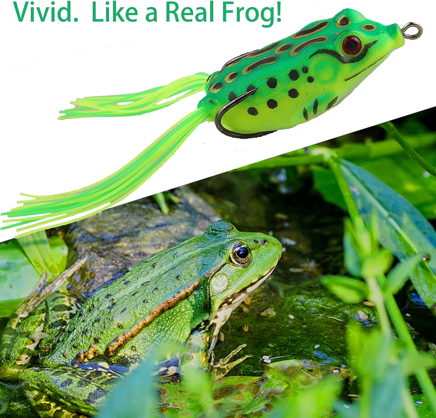 5Pcs Topwater Frog Lures Sets with Bait Box, Frog Lure Topwater Fishing Crankbait Lures, Frog Artificial Soft Bait for Bass Snakehead, Weedless Freshwater Soft Simulated Frog Bait - Image 2